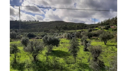 Terreno para Venda em Mexilhoeira Grande