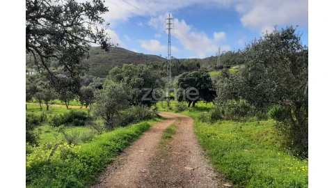 Terreno para Venda em Mexilhoeira Grande