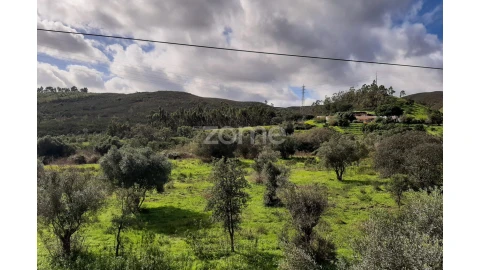 Terreno para Venda em Mexilhoeira Grande