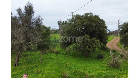 Terreno para Venda em Mexilhoeira Grande