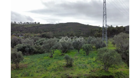 Terreno para Venda em Mexilhoeira Grande
