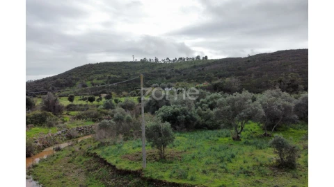 Terreno para Venda em Mexilhoeira Grande