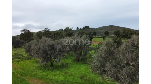 Terreno para Venda em Mexilhoeira Grande