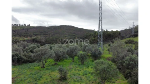 Terreno para Venda em Mexilhoeira Grande