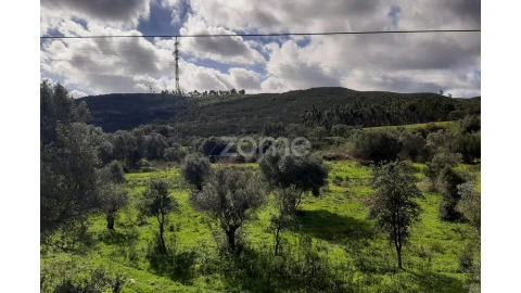 Terreno para Venda em Mexilhoeira Grande