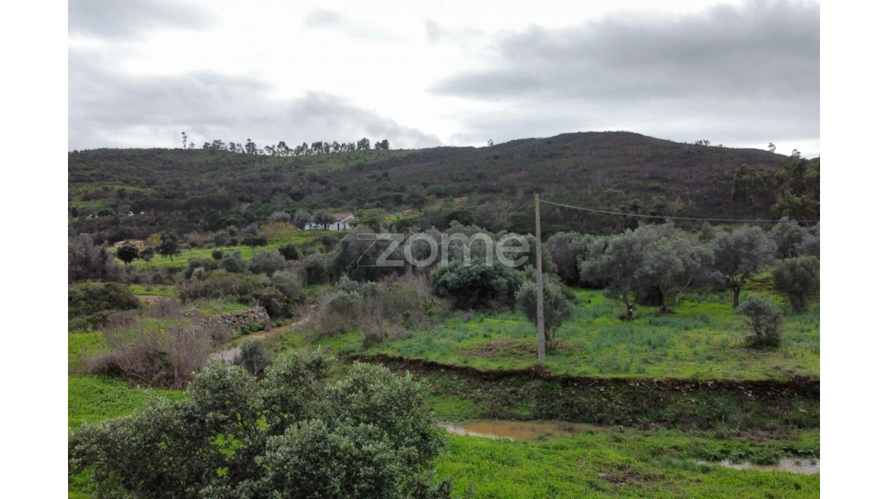 Terreno para Venda em Mexilhoeira Grande Foto 15