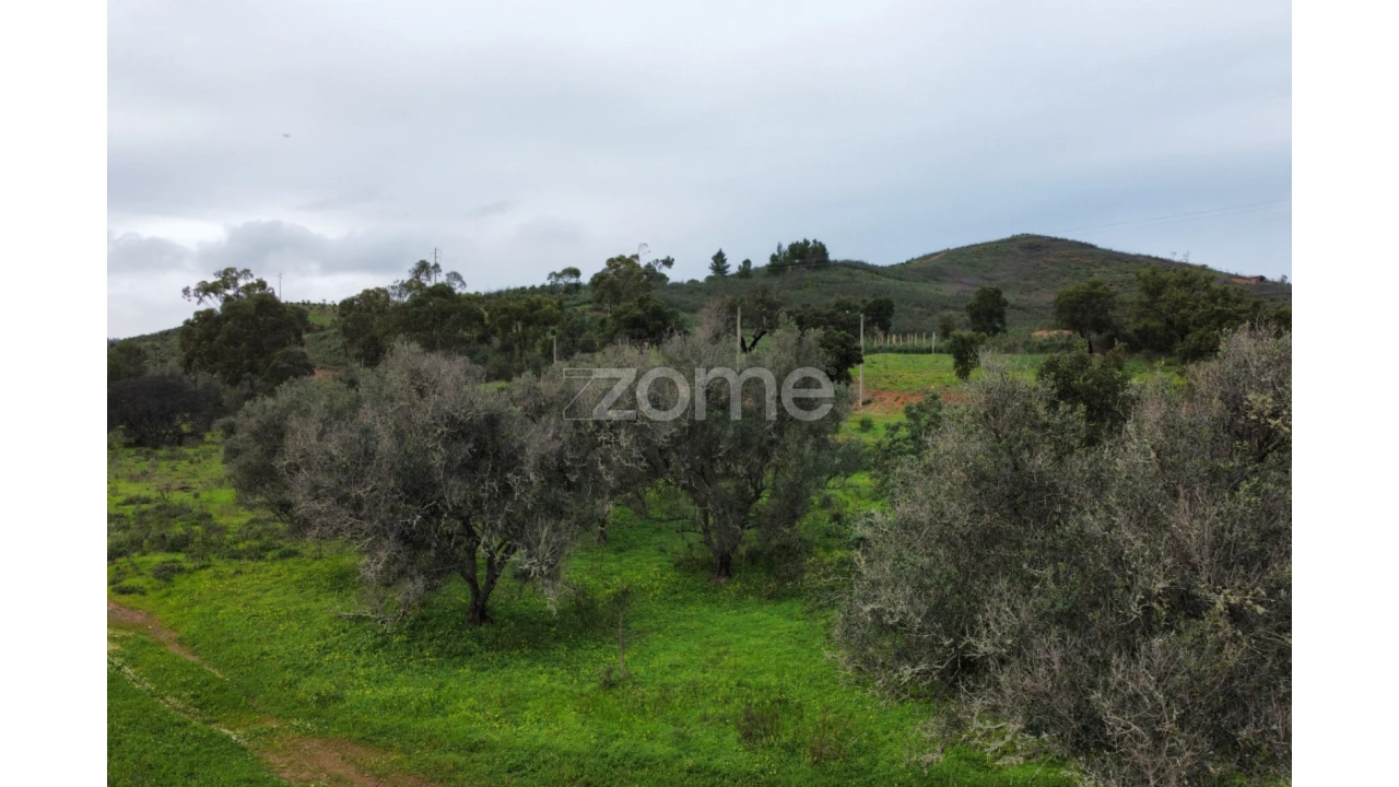 Terreno para Venda em Mexilhoeira Grande Foto 20