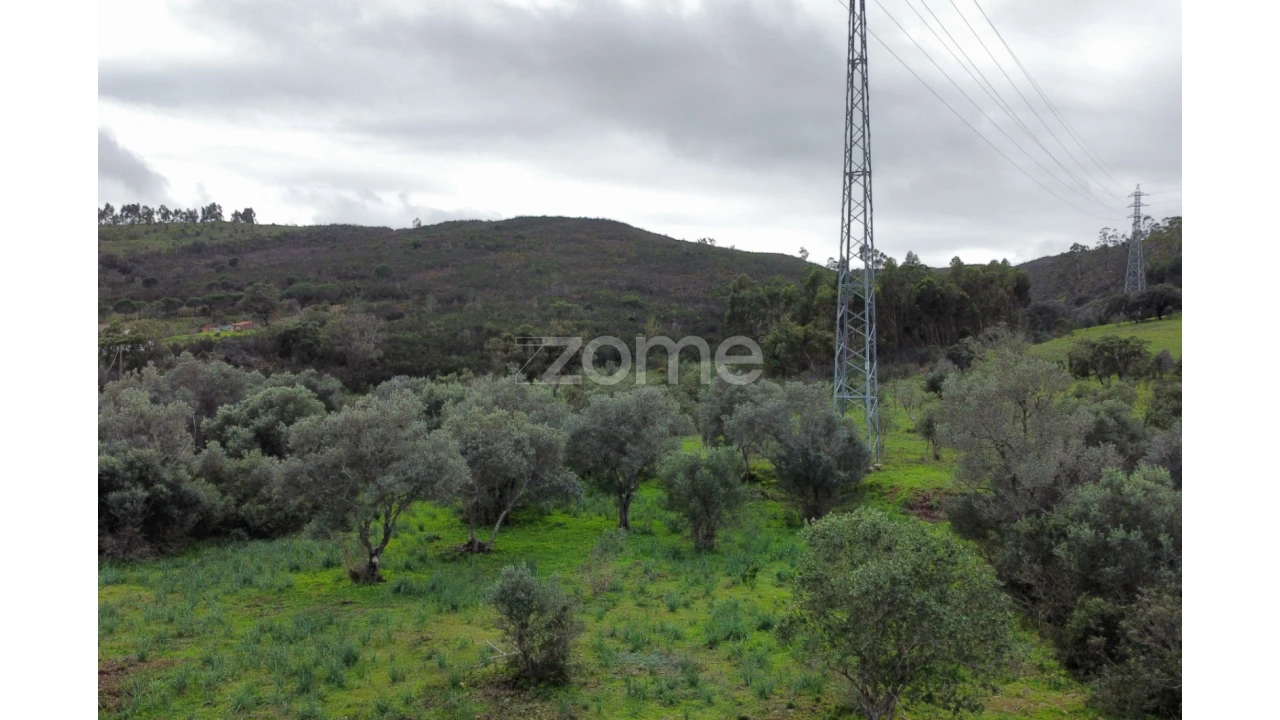 Terreno para Venda em Mexilhoeira Grande Foto 23