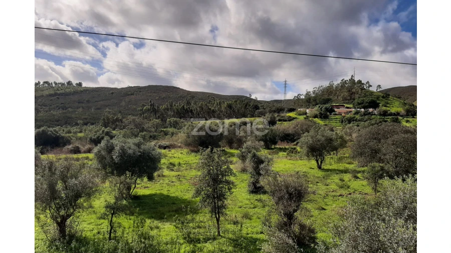 Terreno para Venda em Mexilhoeira Grande Foto 9