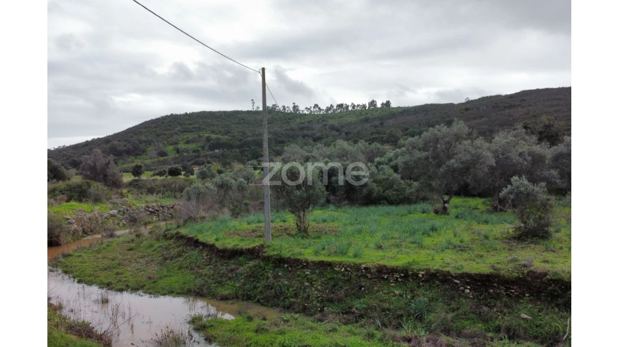 Terreno para Venda em Mexilhoeira Grande Foto 12