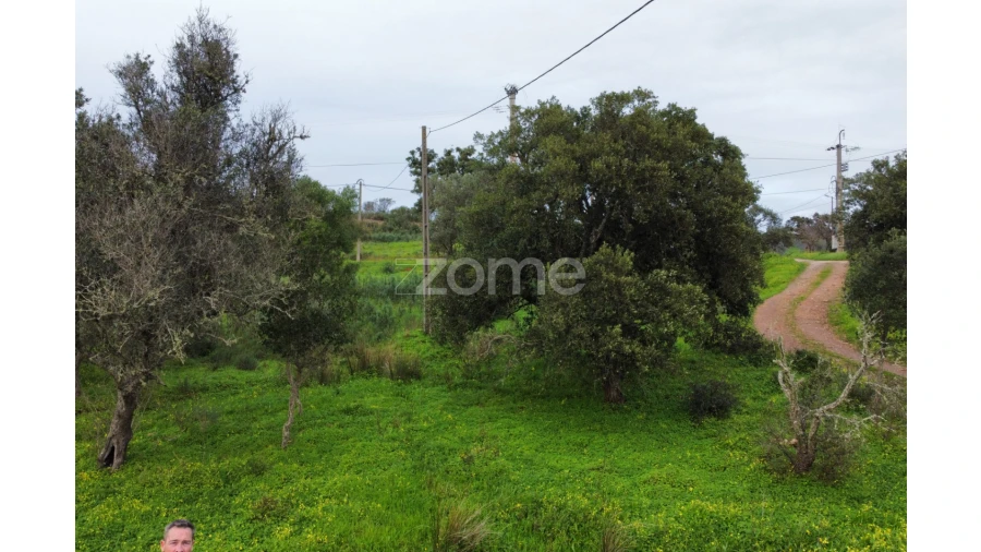 Terreno para Venda em Mexilhoeira Grande Foto 13