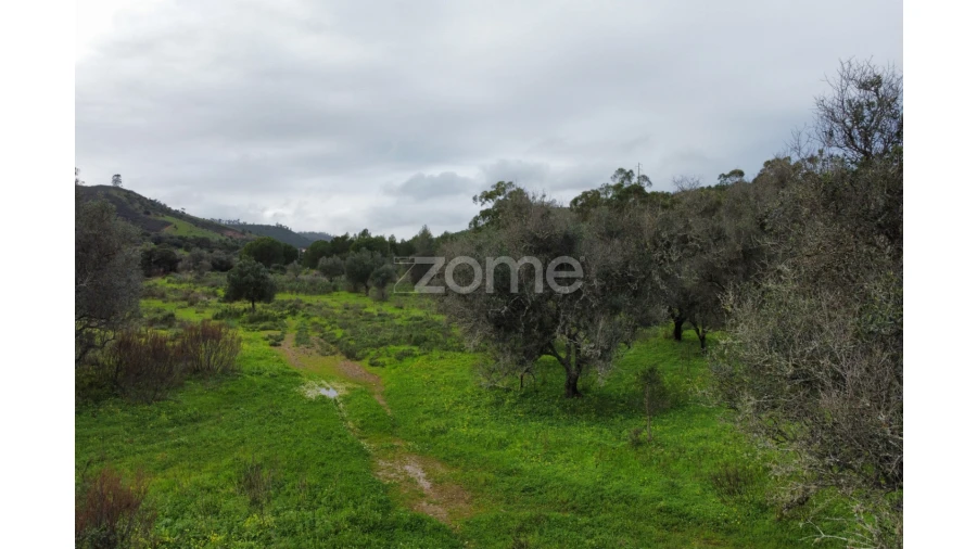 Terreno para Venda em Mexilhoeira Grande Foto 16