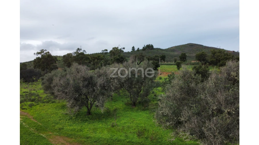 Terreno para Venda em Mexilhoeira Grande Foto 20
