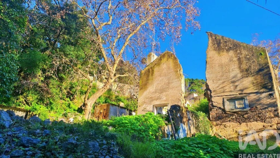 Moradia T4 para Venda em São João das Lampas e Terrugem Foto 21