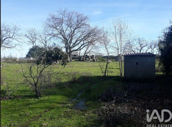 Moradia para Venda em Santiago Maior Foto 29