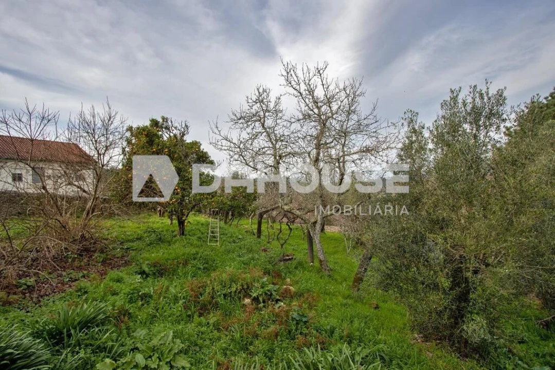 Moradia T2 para Venda em Cornes Foto 30