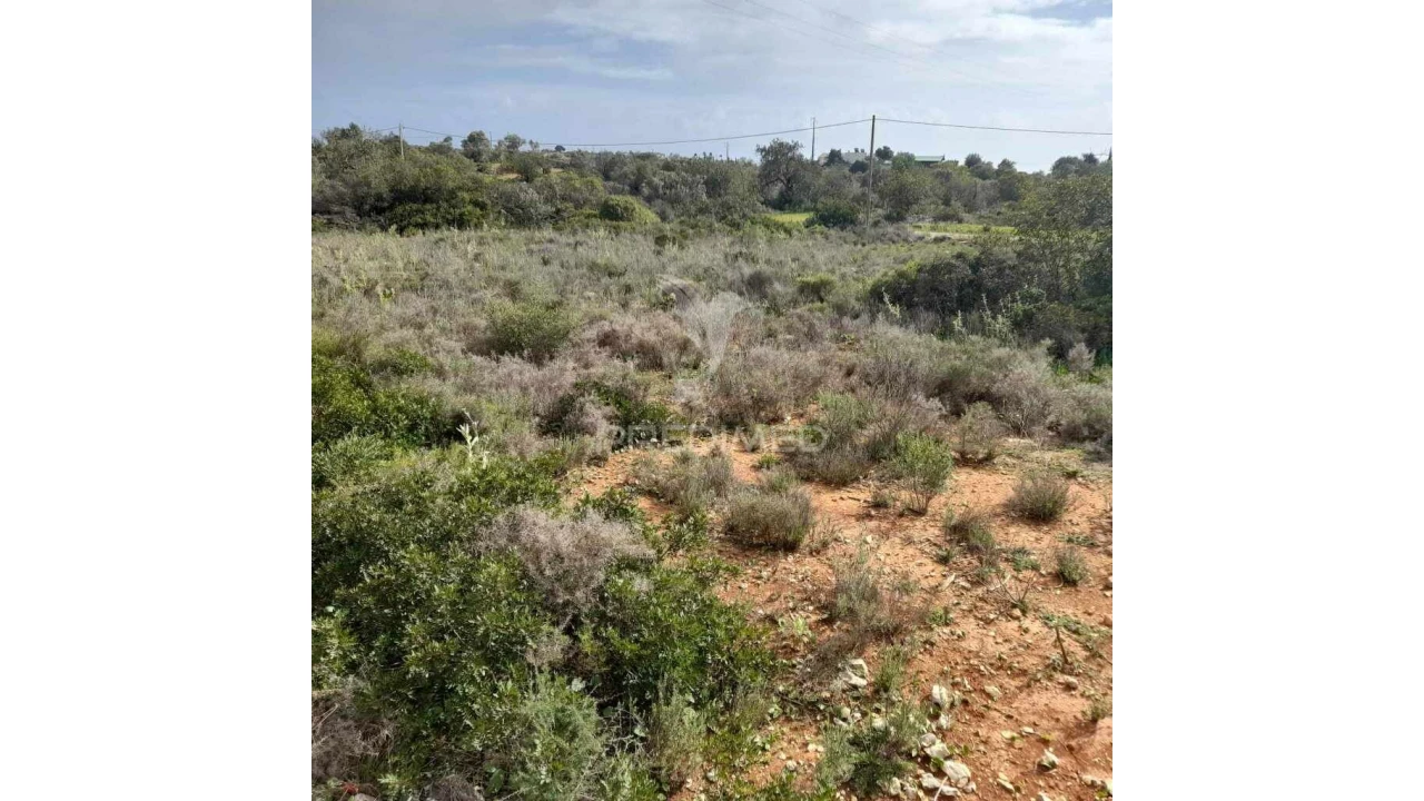 Terreno para Venda em Quelfes Foto 7