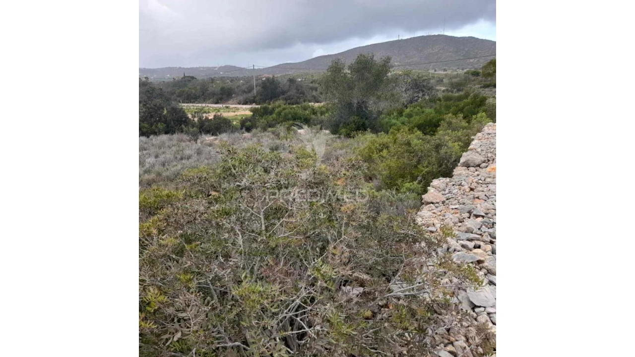 Terreno para Venda em Quelfes Foto 6