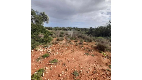 Terreno para Venda em Quelfes