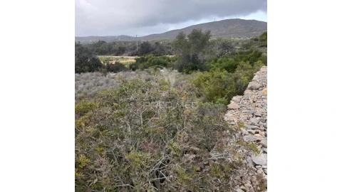 Terreno para Venda em Quelfes