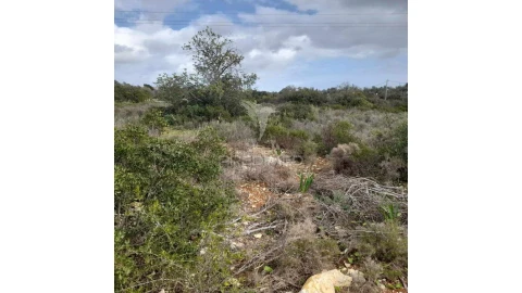 Terreno para Venda em Quelfes