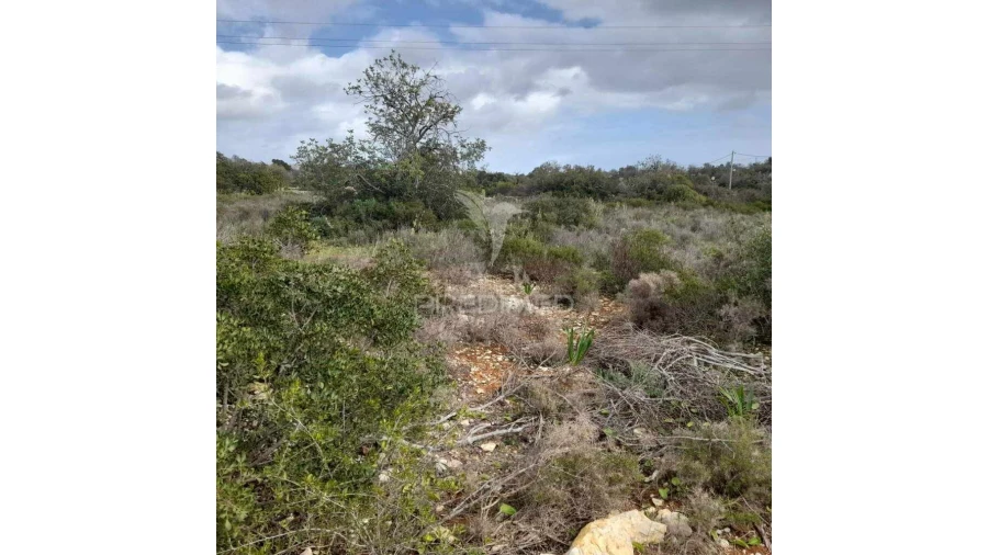 Terreno para Venda em Quelfes Foto 4
