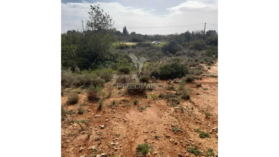 Terreno para Venda em Quelfes Foto 8