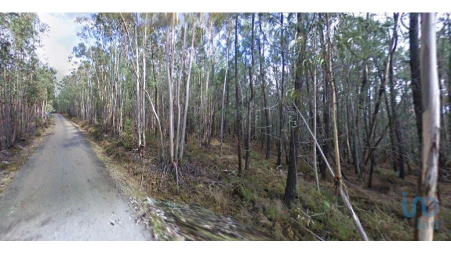 Terreno para Venda em Espinhal Foto 2