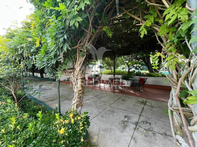 Prédio para Venda em Seixas Foto 7