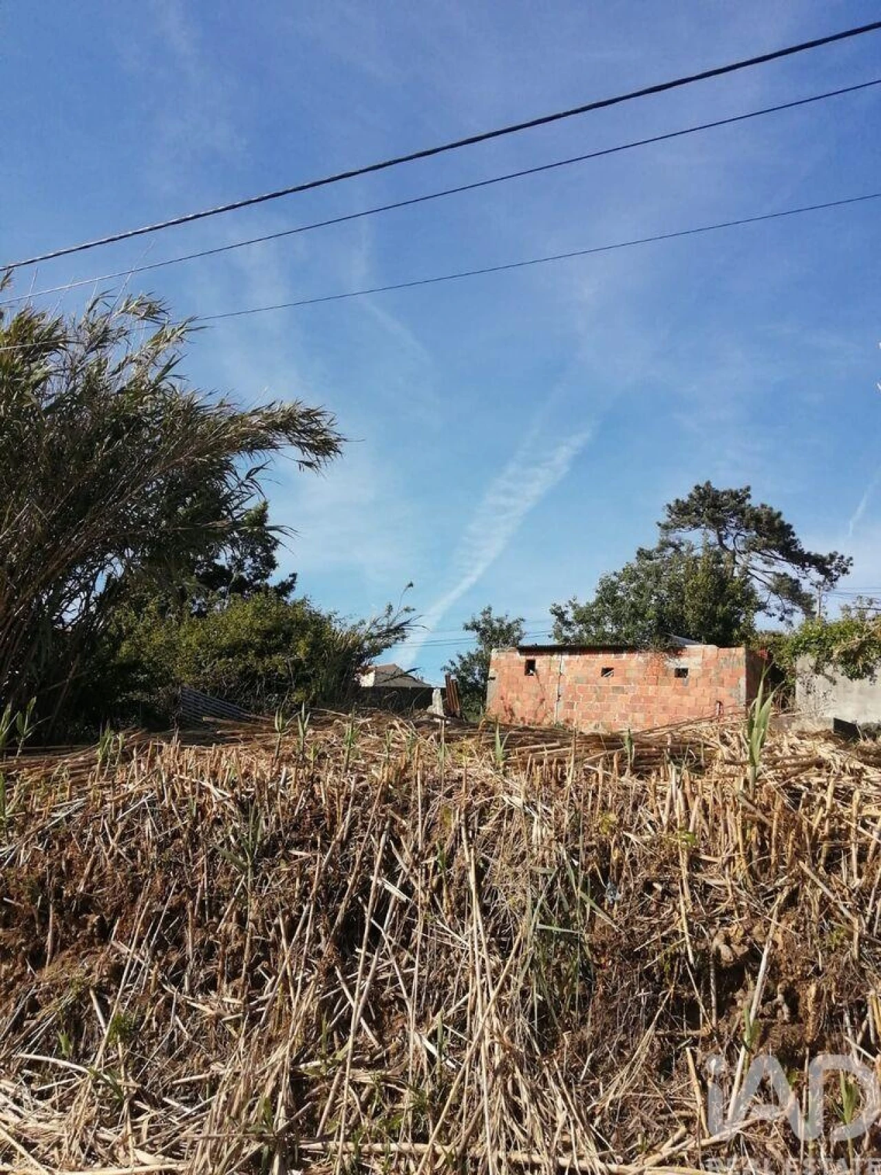 Terreno para Venda em Salir de Matos Foto 11