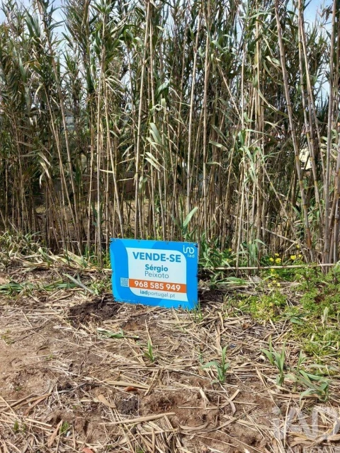 Terreno para Venda em Salir de Matos