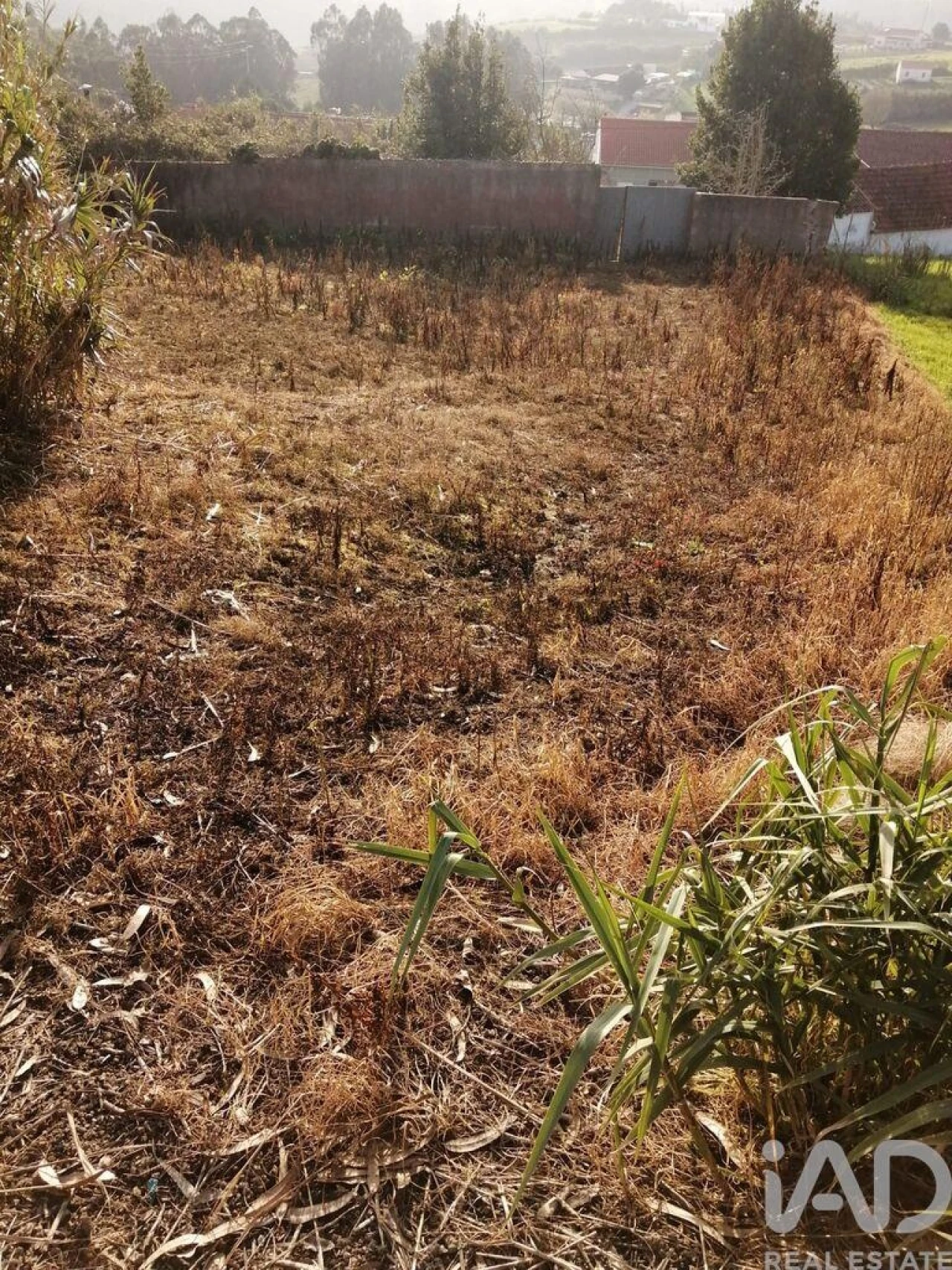 Terreno para Venda em Salir de Matos Foto 6