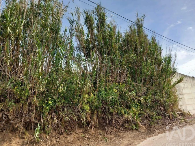 Terreno para Venda em Salir de Matos Foto 7
