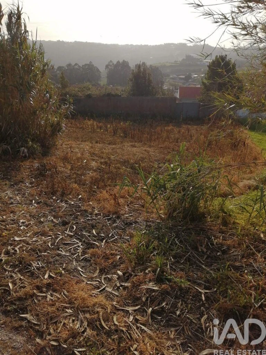 Terreno para Venda em Salir de Matos Foto 5