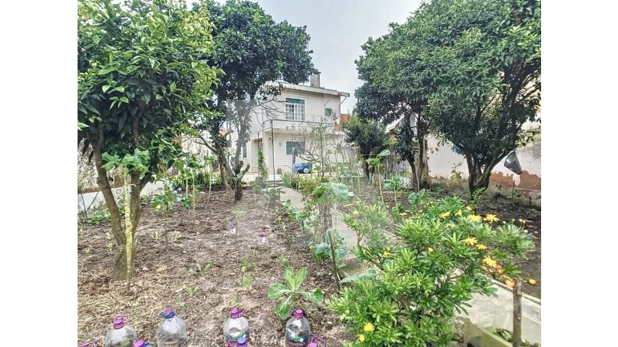 Moradia T3 para Venda em Ovar, São João, Arada e São Vicente de Pereira Jusã Foto 5