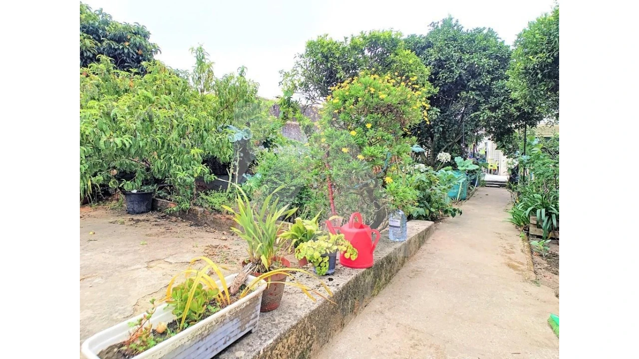 Moradia T3 para Venda em Ovar, São João, Arada e São Vicente de Pereira Jusã Foto 4