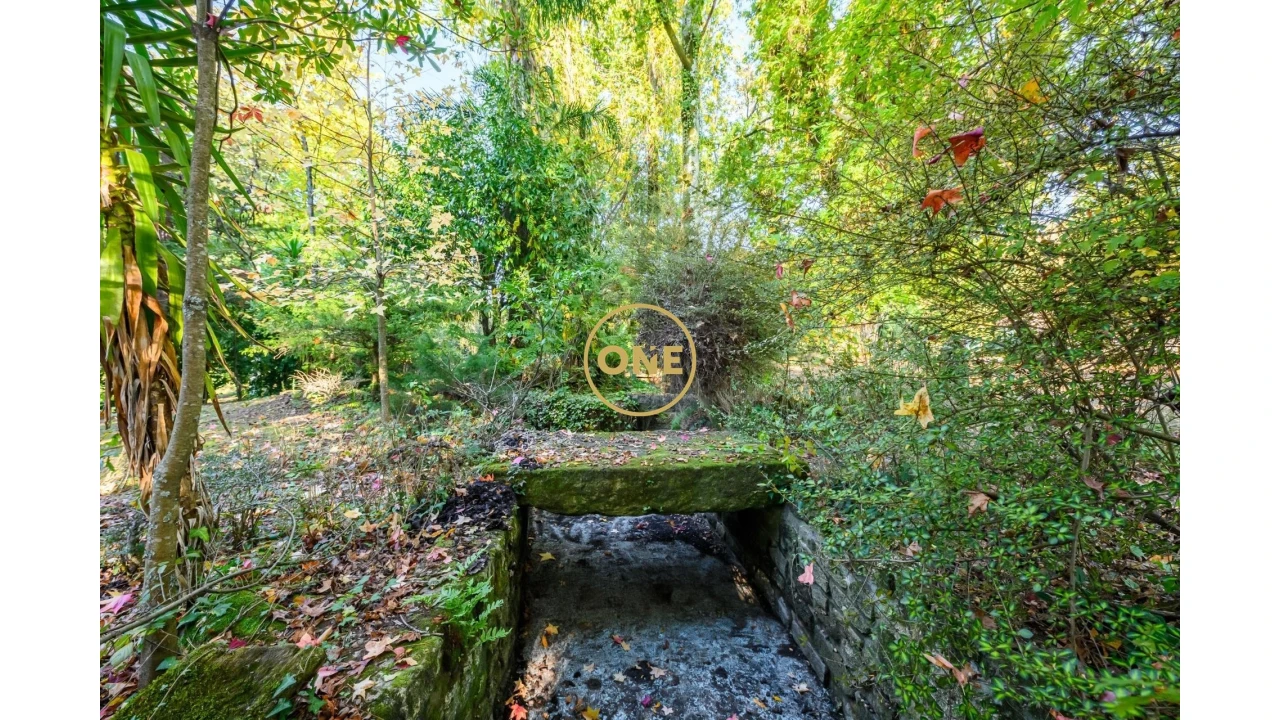Quinta T5 para Venda em Pombeiro de Ribavizela Foto 17