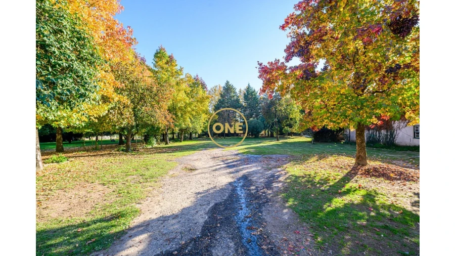 Quinta T5 para Venda em Pombeiro de Ribavizela Foto 26
