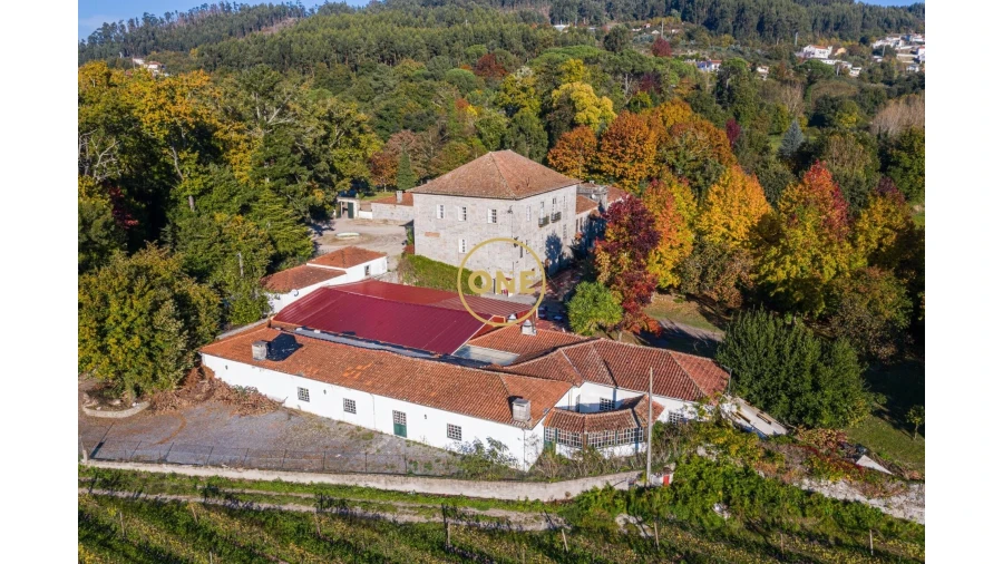 Quinta T5 para Venda em Pombeiro de Ribavizela Foto 10