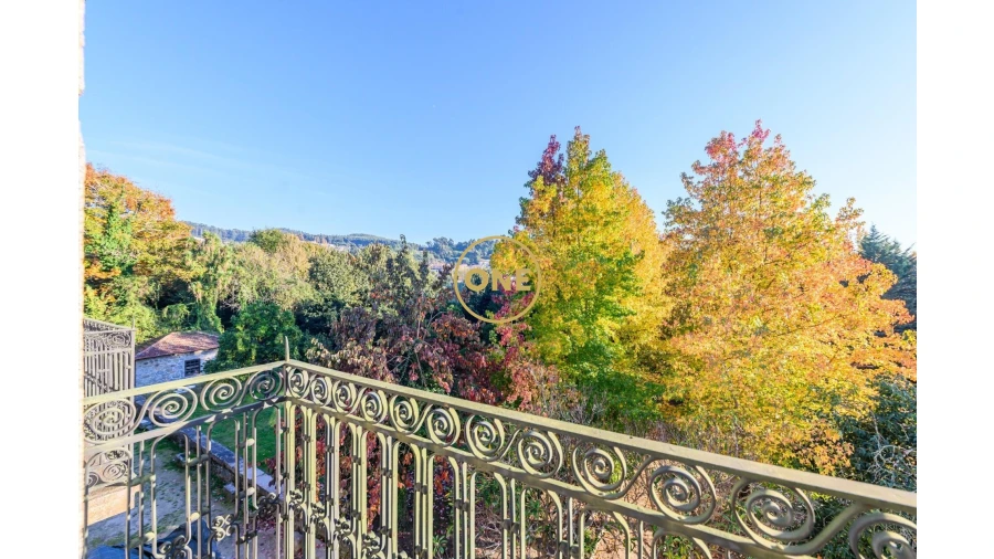 Quinta T5 para Venda em Pombeiro de Ribavizela Foto 8