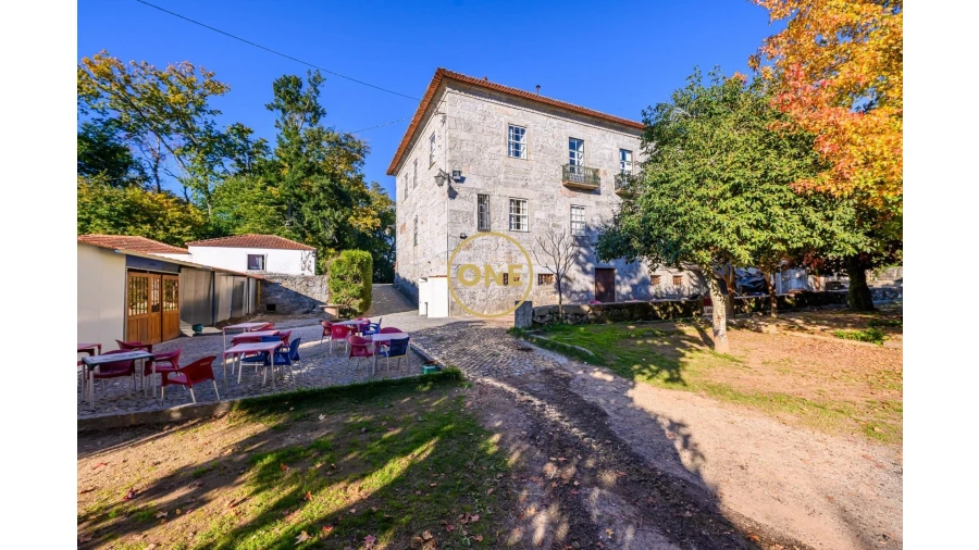 Quinta T5 para Venda em Pombeiro de Ribavizela Foto 28