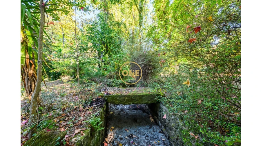 Quinta T5 para Venda em Pombeiro de Ribavizela Foto 17