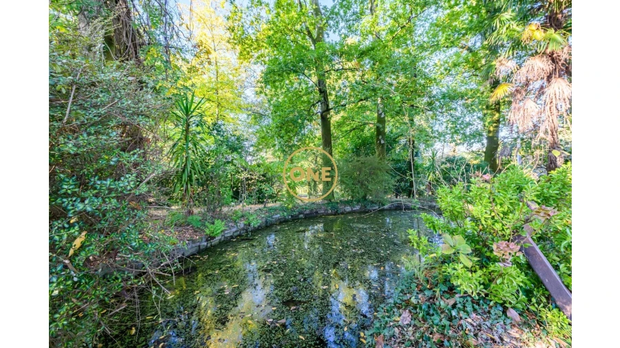 Quinta T5 para Venda em Pombeiro de Ribavizela Foto 19