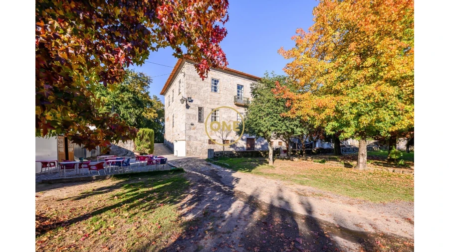 Quinta T5 para Venda em Pombeiro de Ribavizela Foto 27