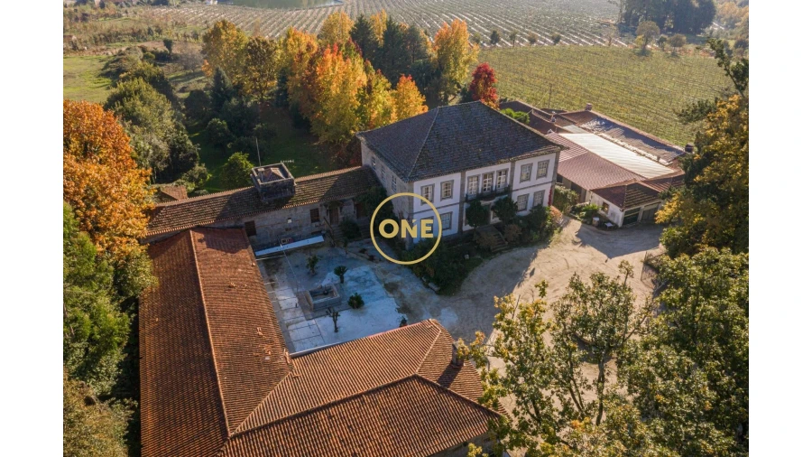 Quinta T5 para Venda em Pombeiro de Ribavizela