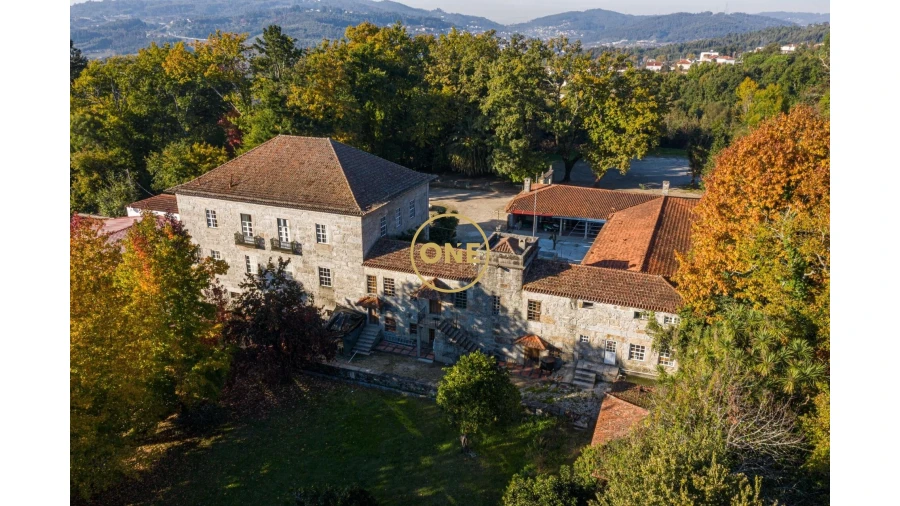 Quinta T5 para Venda em Pombeiro de Ribavizela Foto 2