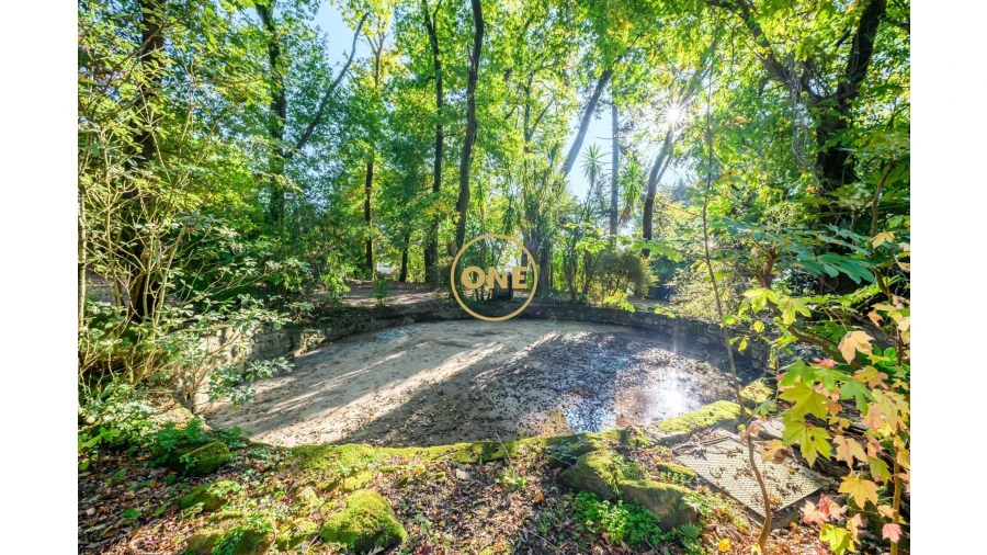 Quinta T5 para Venda em Pombeiro de Ribavizela Foto 24