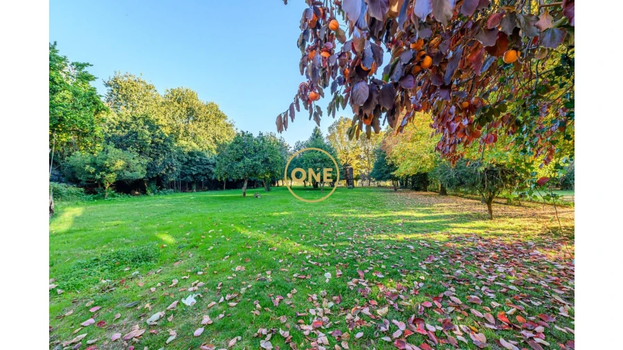 Quinta T5 para Venda em Pombeiro de Ribavizela Foto 9