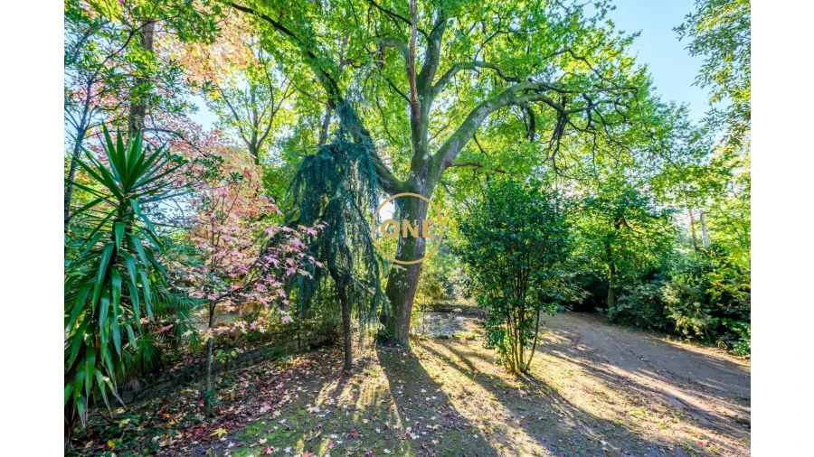 Quinta T5 para Venda em Pombeiro de Ribavizela Foto 18