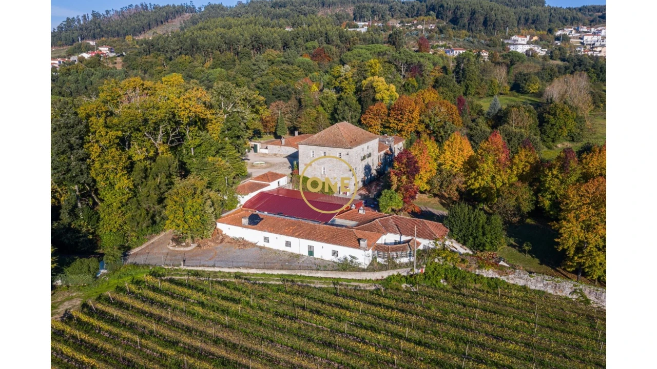 Quinta T5 para Venda em Pombeiro de Ribavizela Foto 5
